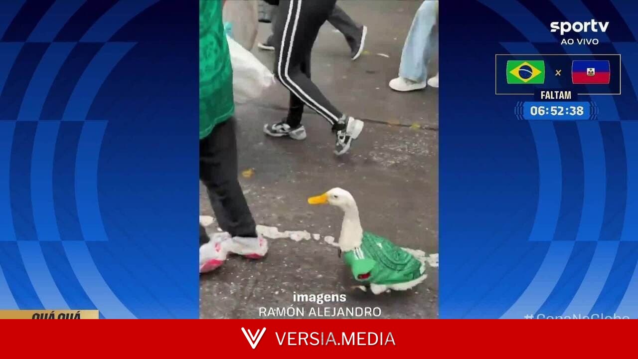 Homem tenta roubar marca do pato mexicano sensação da Copa, e governo promete ajudar família